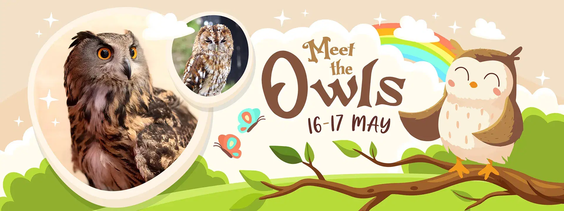 Adults Only Nights at Monk Park Farm