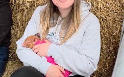 Pig Snuggling Volunteers Needed!