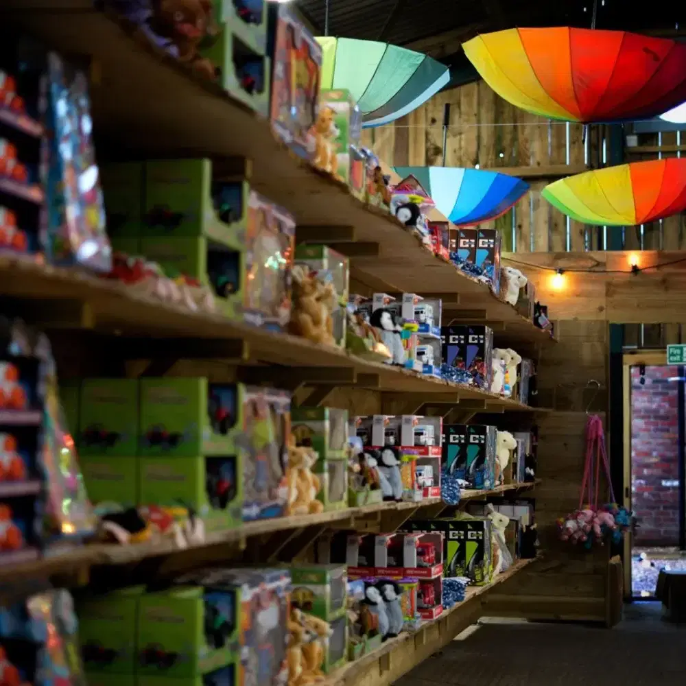 Toy Emporium MPF Christmas Toy Emporium
