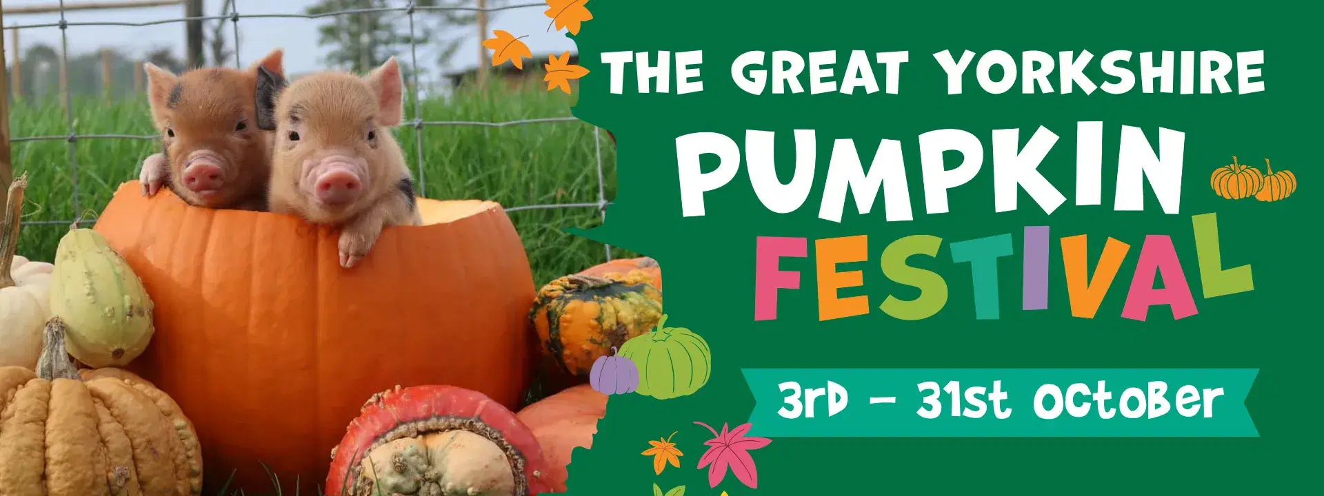 Pumpkins Website Whats On (4) General Admission to Monk Park Farm